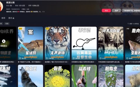 3个月狂揽100万粉丝！这个年轻人给动物写Rap，一条视频播放破3亿