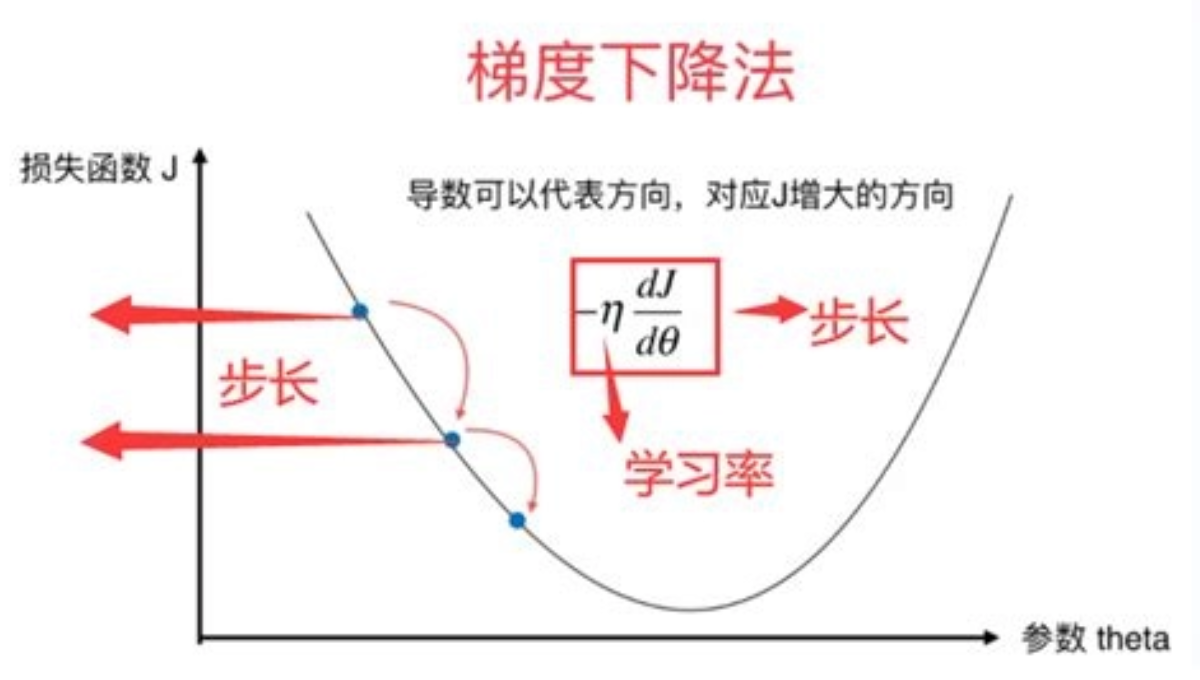 什么是优化算法？