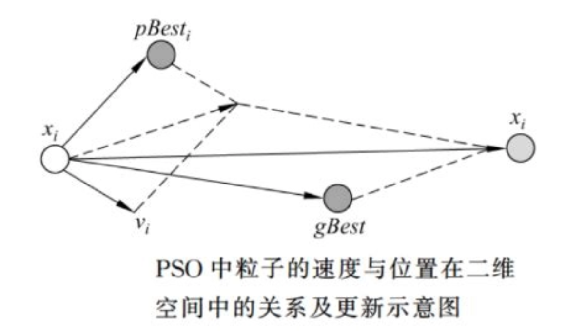 什么是优化算法？