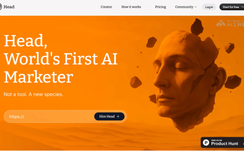 深度访谈Head AI创始人Kay，不睡觉的AI增长负责人