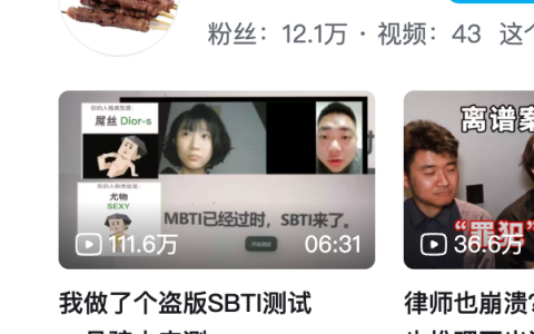 SBTI 快速复制变现